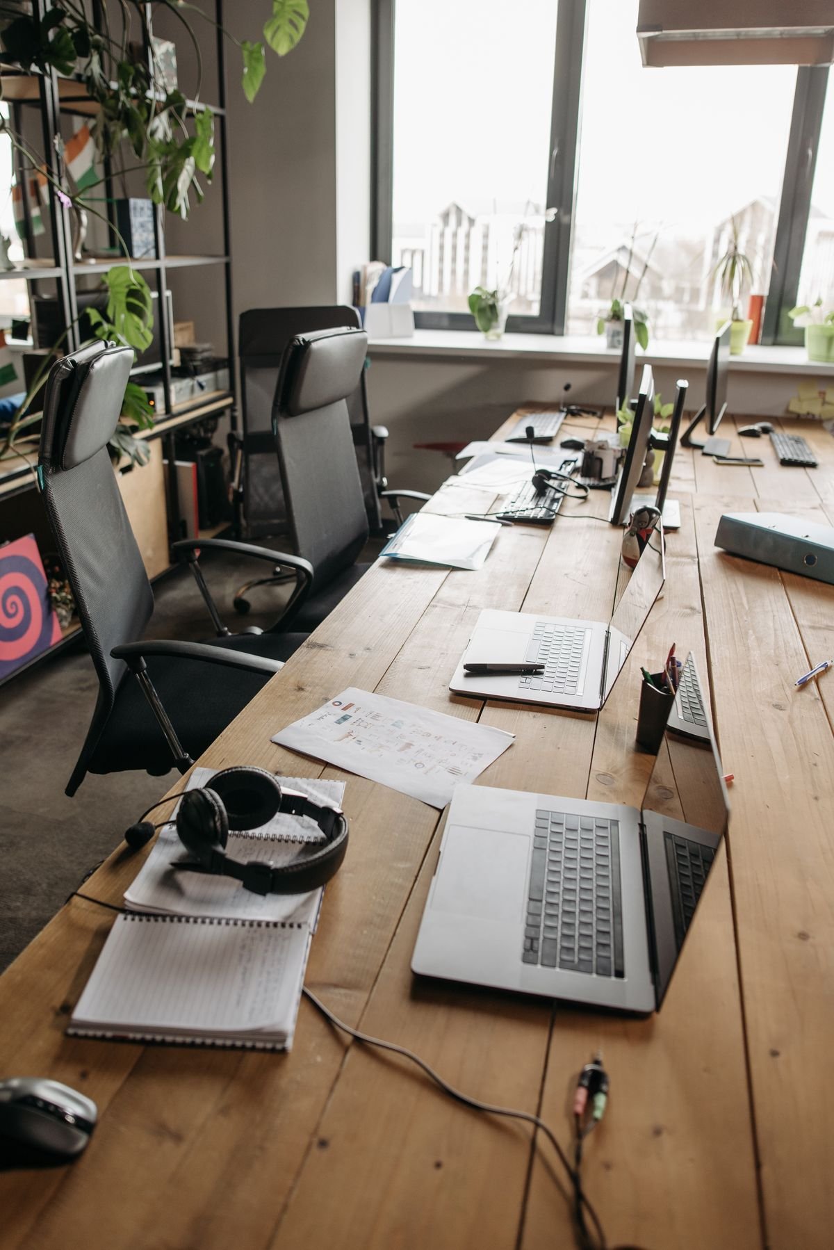 A long timber desk with laptops, notebooks and plants beside a bank of windows