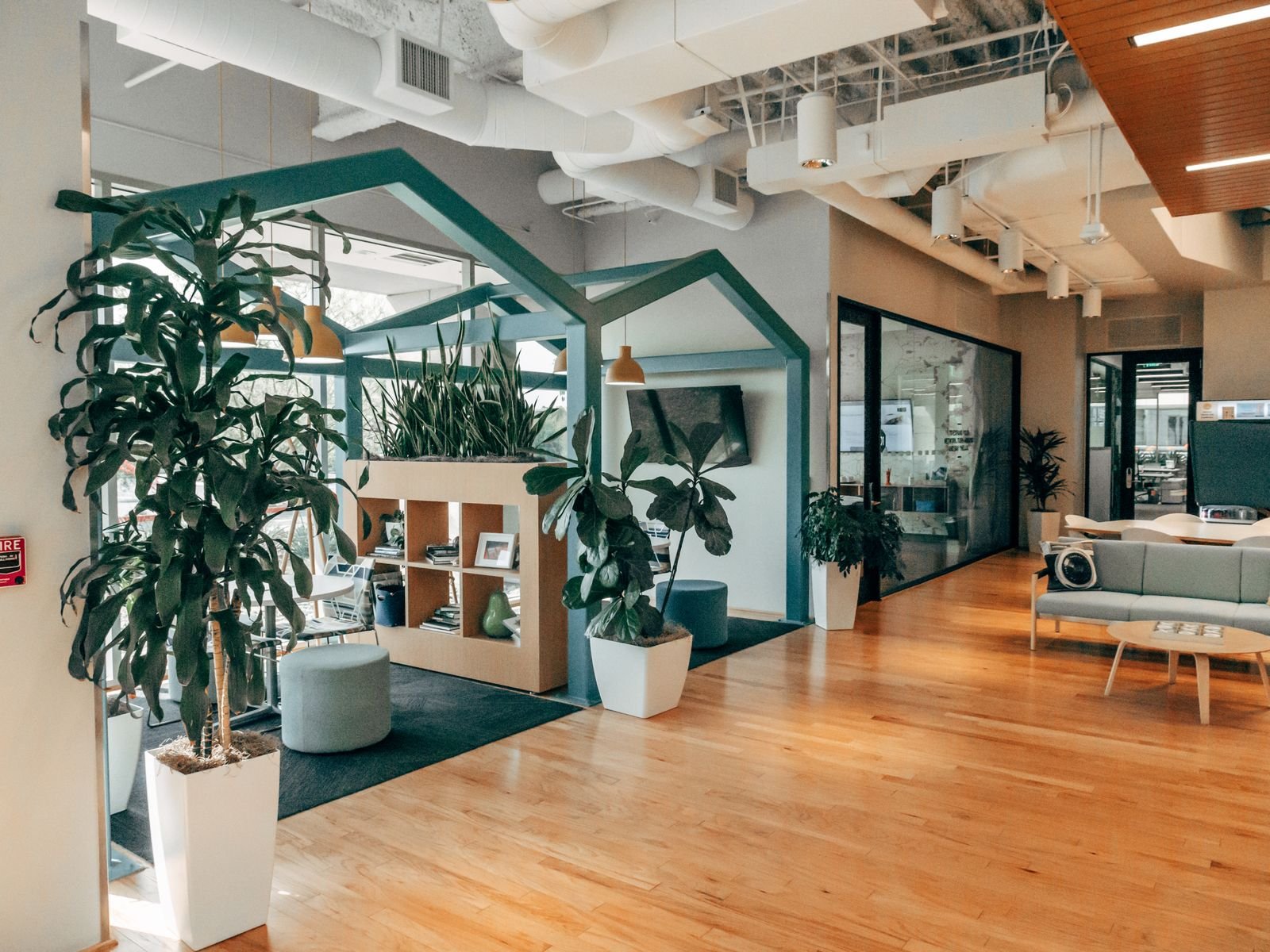 An open-plan office with timber floors, planted screens and glass-walled meeting rooms