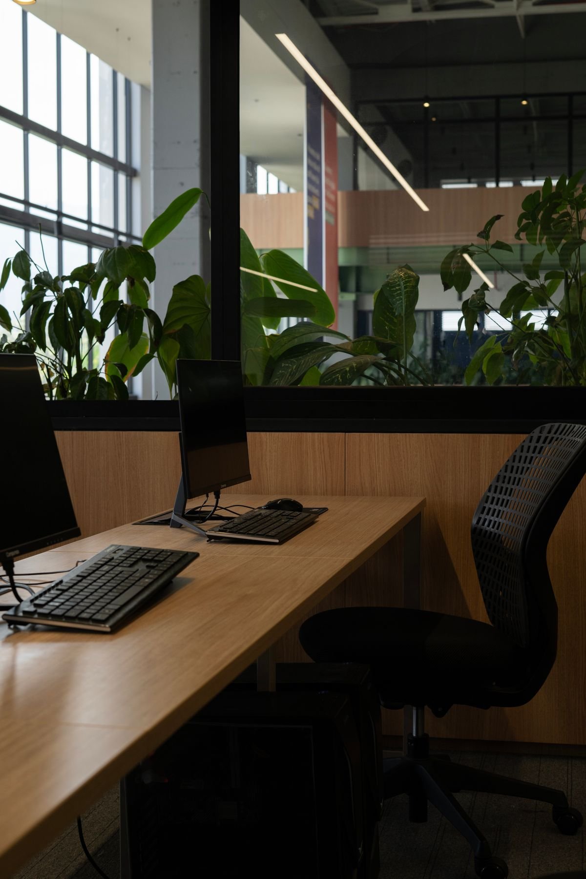 Timber desks and monitors beside a planted glass wall in a quiet office